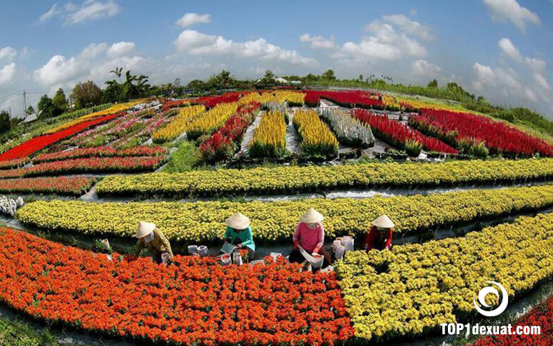 Làng hoa Vạn Thành là một trong những địa điểm du lịch Đà Lạt rất nổi tiếng
