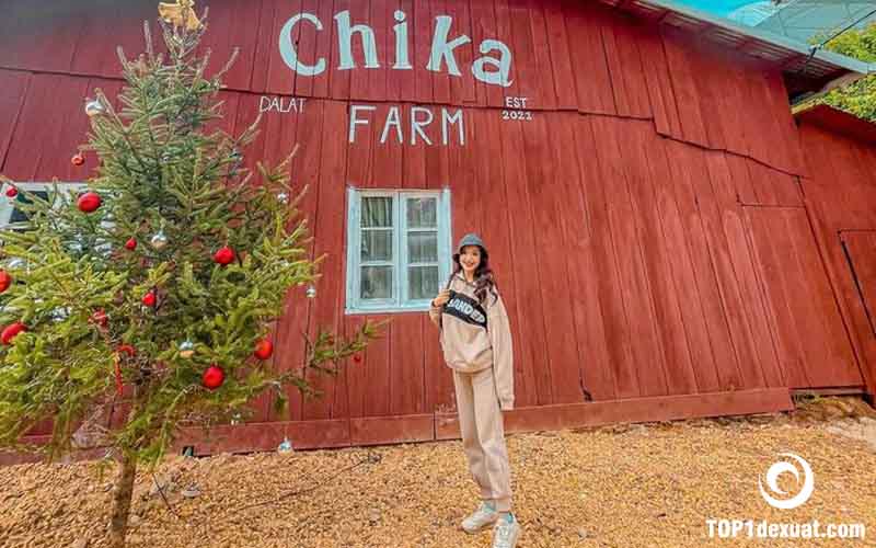 Nông trại Chika Farm Đà Lạt. Ảnh: Google tìm kiếm