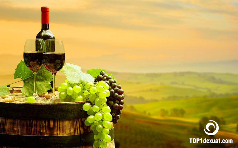 quy trinh san xuat ruou champagne chi tiet