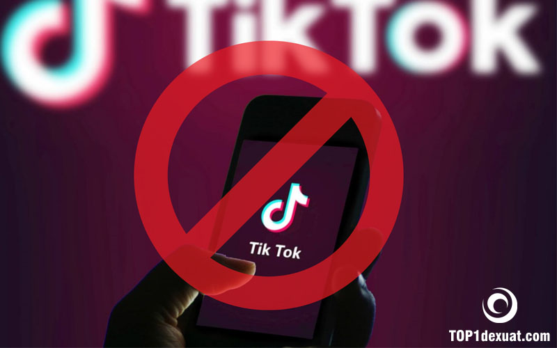 Danh sách sản phẩm bị cấm trên TikTok Shop. Ảnh: Google tìm kiếm