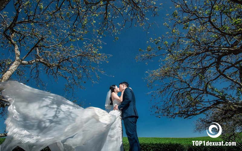 Xếp hạng 5 Studio chụp ảnh cưới ngoại cảnh Sơn La đẹp nhất