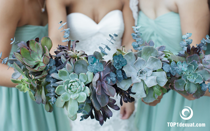 TOP 4 cách bó hoa cưới bằng sen đá cầm tay cho cô dâu đẹp nhất