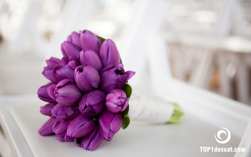 bo hoa cuoi tulip cam tay cho co dau dep