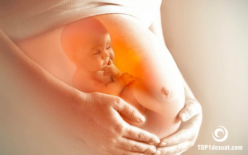 tác dụng của yến sào đối với thai nhi