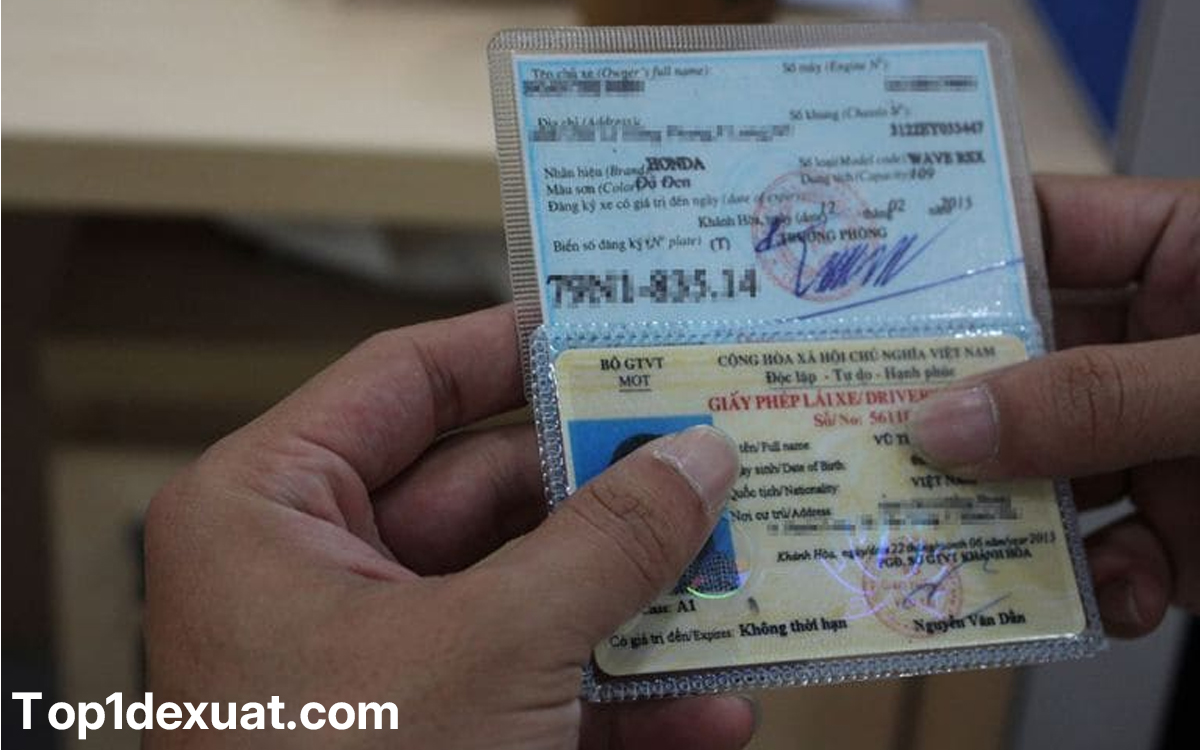 Dịch Vụ Cho Thuê Xe Máy Đà Lạt Uy Tín, Xe Xịn - Bảng giá mới nhất dịch vụ cho thuê xe máy đà lạt giá rẻ