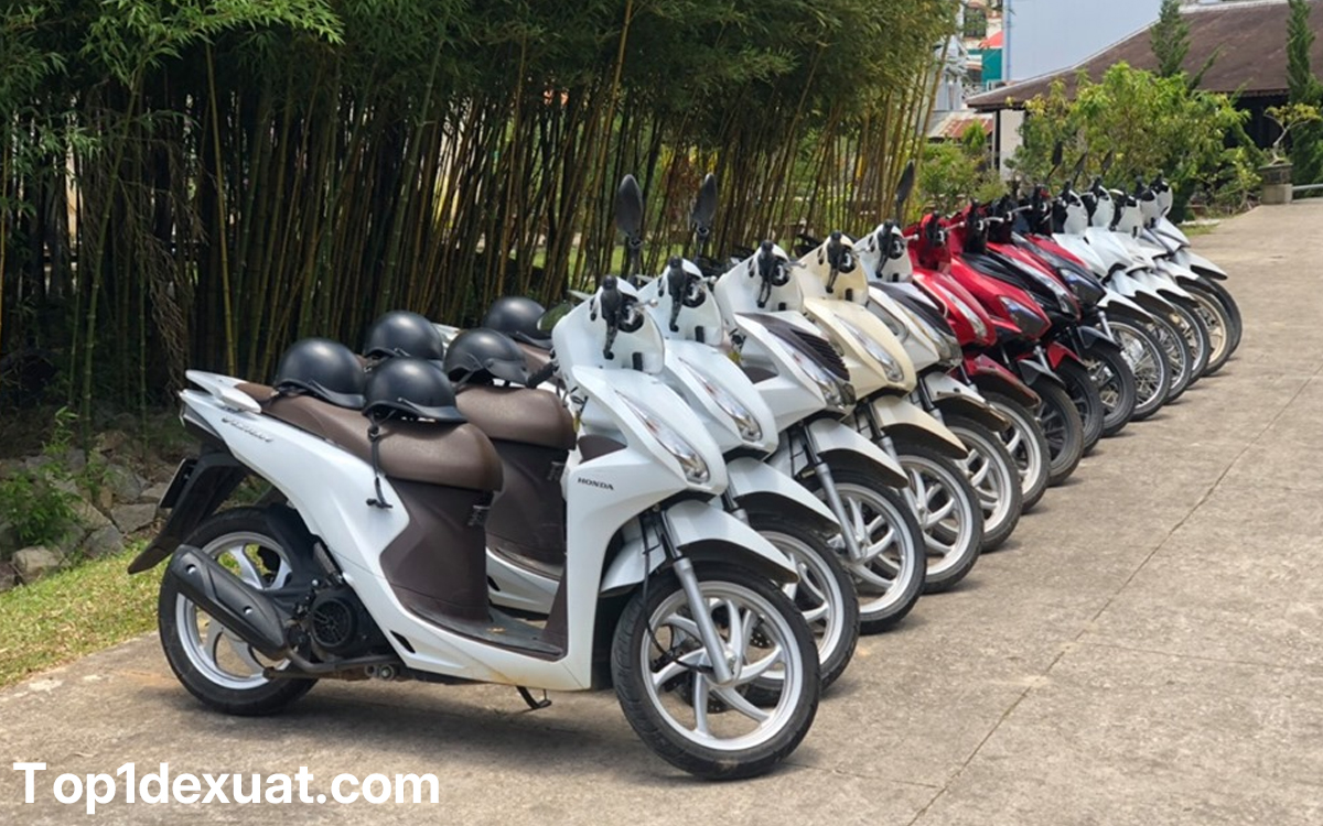 Dịch Vụ Cho Thuê Xe Máy Đà Lạt Uy Tín, Xe Xịn - Bảng giá mới nhất dịch vụ cho thuê xe máy ở đà lạt