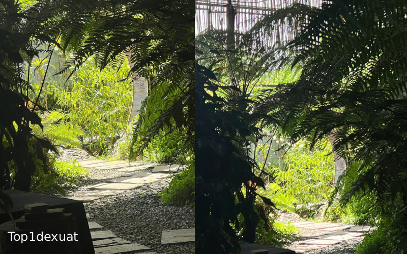 Tut Garden Bistro có không gian rộng rãi với vườn cỏ cây xanh ngát quán lẩu gà ớt hiểm đà lạt