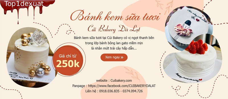Củi Bakery – Nơi hội tụ những mẫu bánh kem cho bé đẹp Đà Lạt mẫu bánh sinh nhật cho bé đẹp đà lạt
